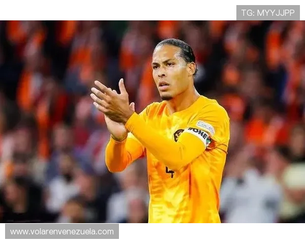 范戴克世界杯表现回顾