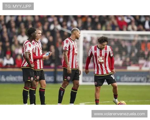 谢菲联主场战绩