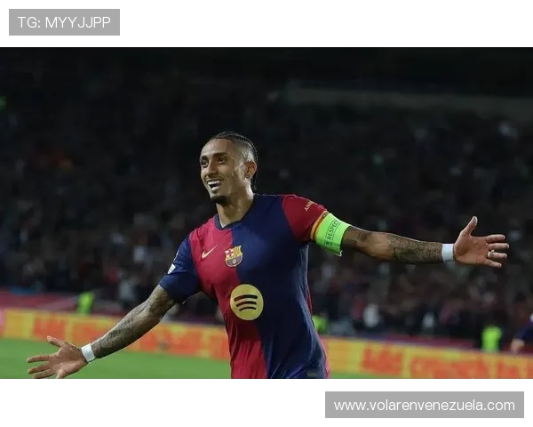 拉菲尼亚转会费总和