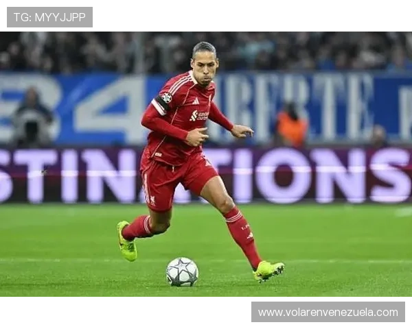 范戴克巅峰赛季对抗成功率与防空能力分析 范戴克巅峰赛季对抗成功率与防空能力分析