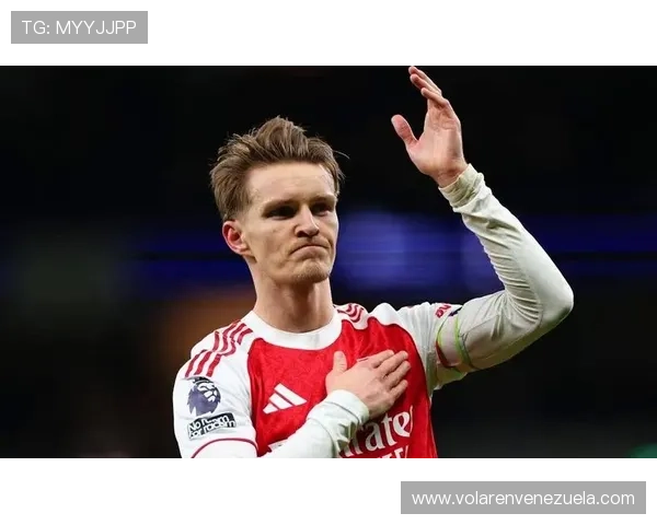 厄德高数据表现：进攻核心价值与含金量拆解