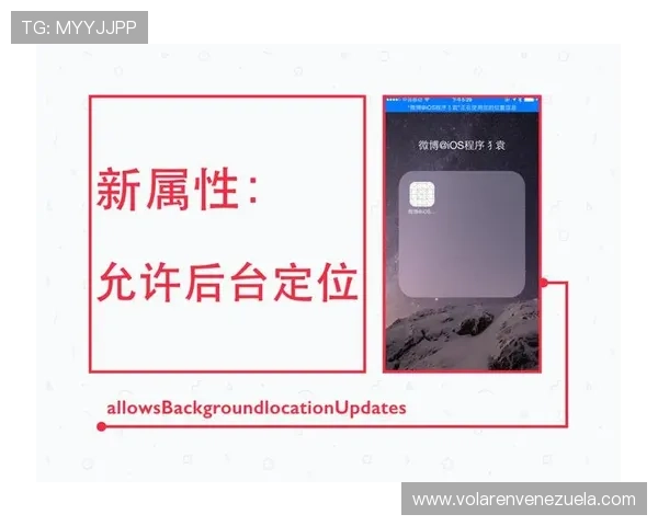 赖斯与菲利普斯的后腰角色差异：体系适配性与功能定位对比分析